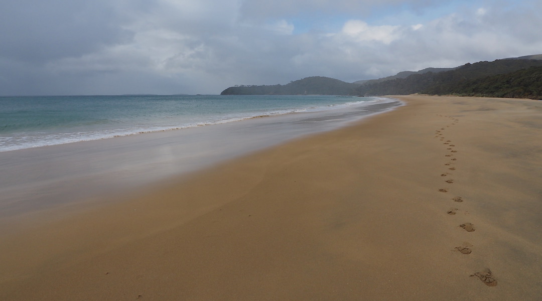Long trudge down Murray Beach. | Northwest Circuit, Rakiura National Park