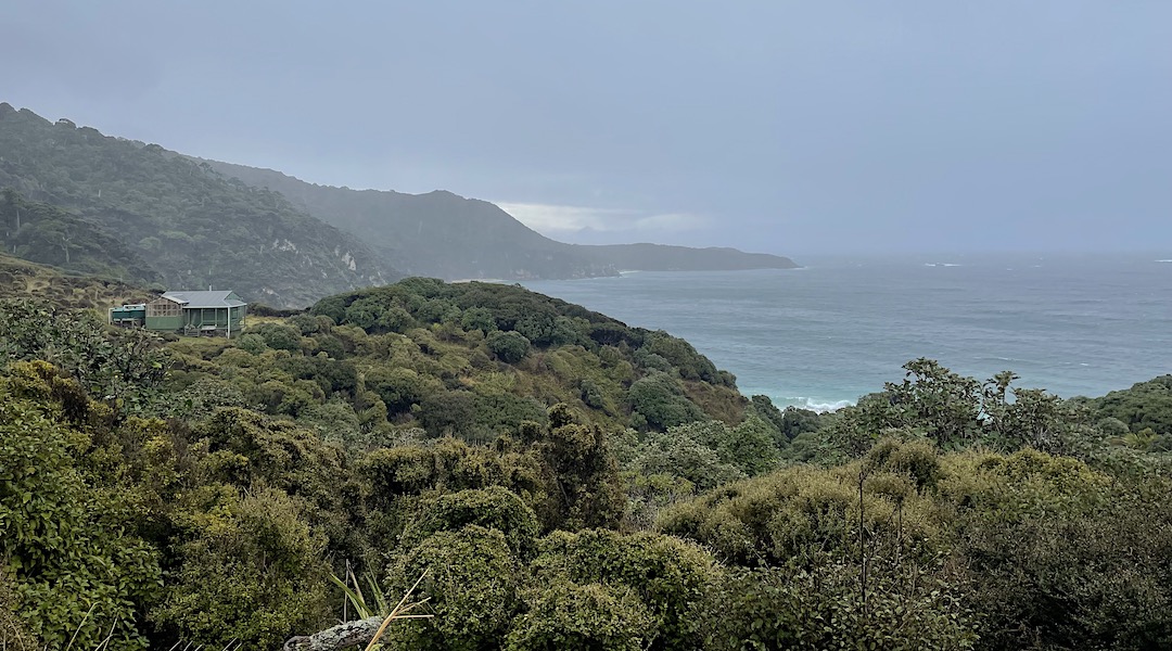 Almost halfway. Long Harry Hut.  | Northwest Circuit, Rakiura National Park
