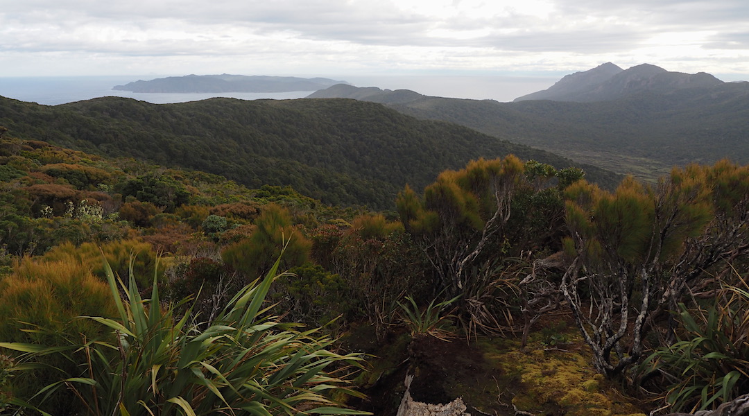 Codfish Island and Ruggedy Range from near Hellfire Pass Hut. | Northwest Circuit, Rakiura National Park