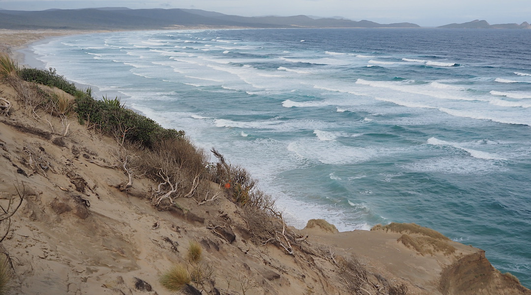 The high route around the bluff at Mason Bay gives a great view. Bad track.  | Northwest Circuit, Rakiura National Park