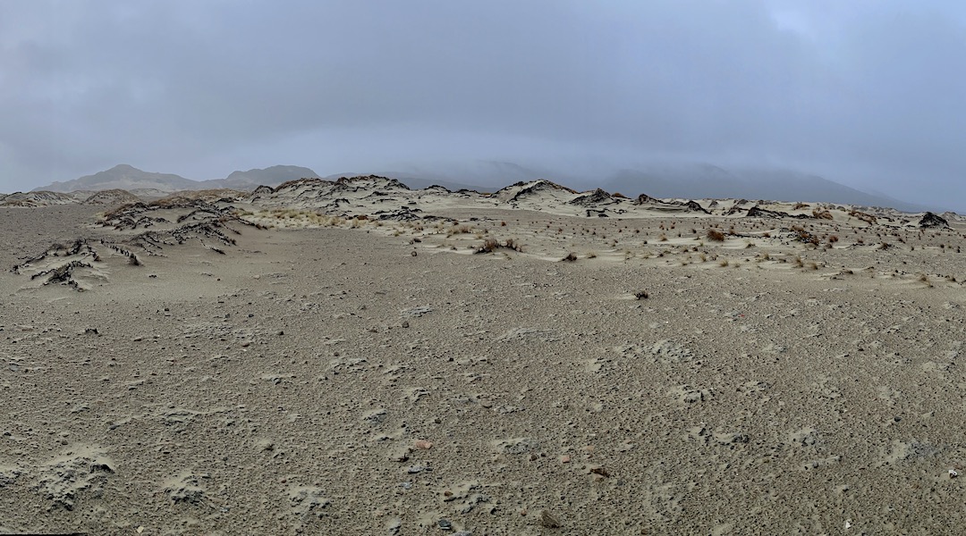 The sand dunes near Mason Bay Hut  are like images from Mars.  | Northwest Circuit, Rakiura National Park