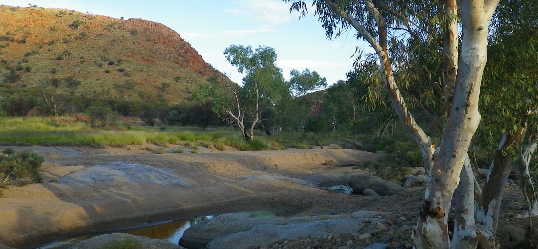 Jay Creek, Larapinta Trail, Central Australia