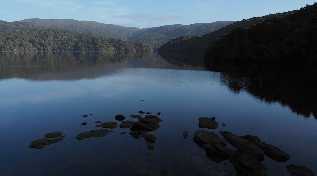 Early morning reflections on Patterson Inlet from near North Arm Hut. | Northwest Circuit, Rakiura National Park