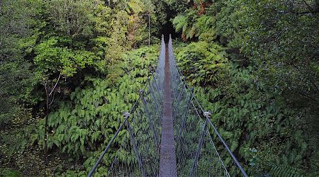 Swingbridge early on the way to Wairaurahiri Hut.  | South Coast Track, Fiordland National Park