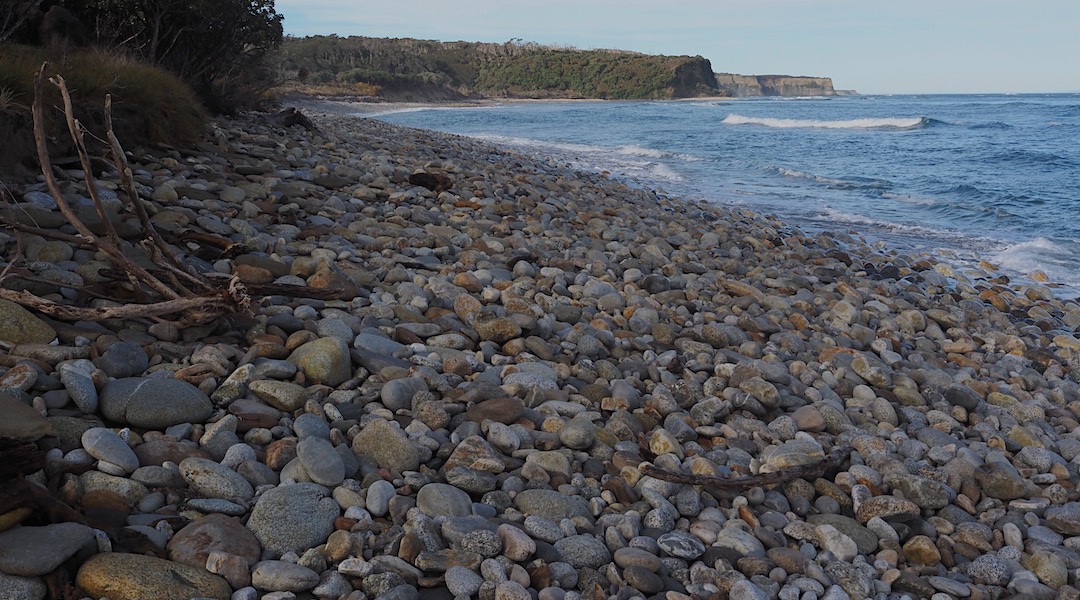 Down at the beach near Waitutu Hut.  | South Coast Track, Fiordland National Park