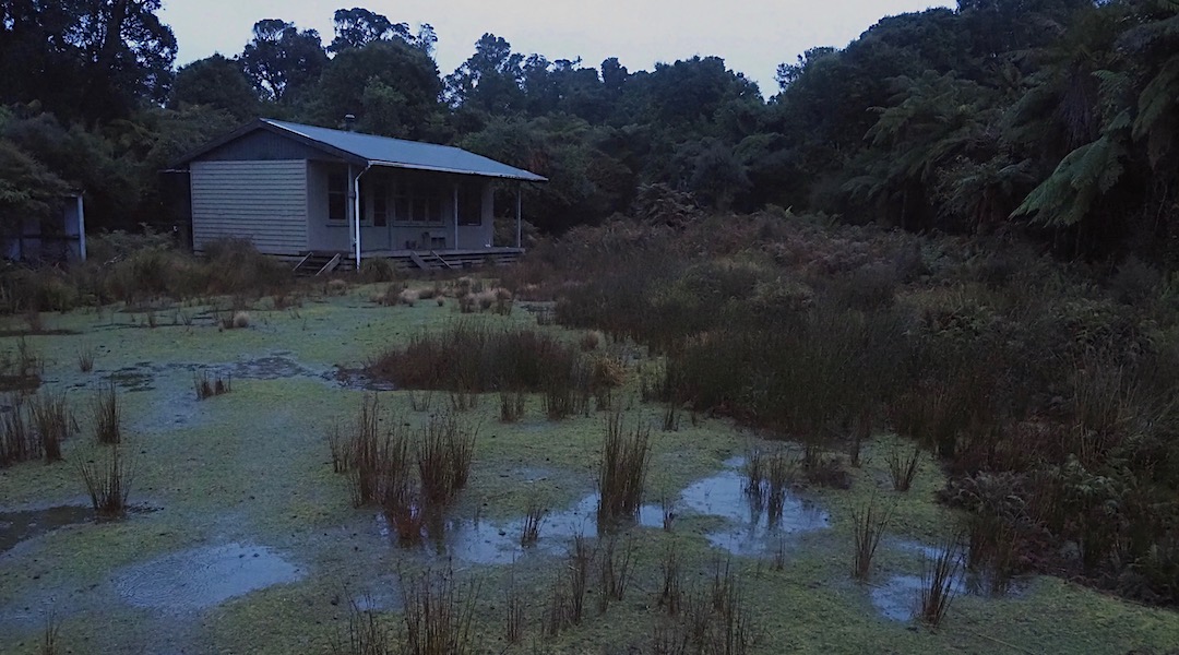 Not much happening on a wet day at Waitutu Hut.  | South Coast Track, Fiordland National Park