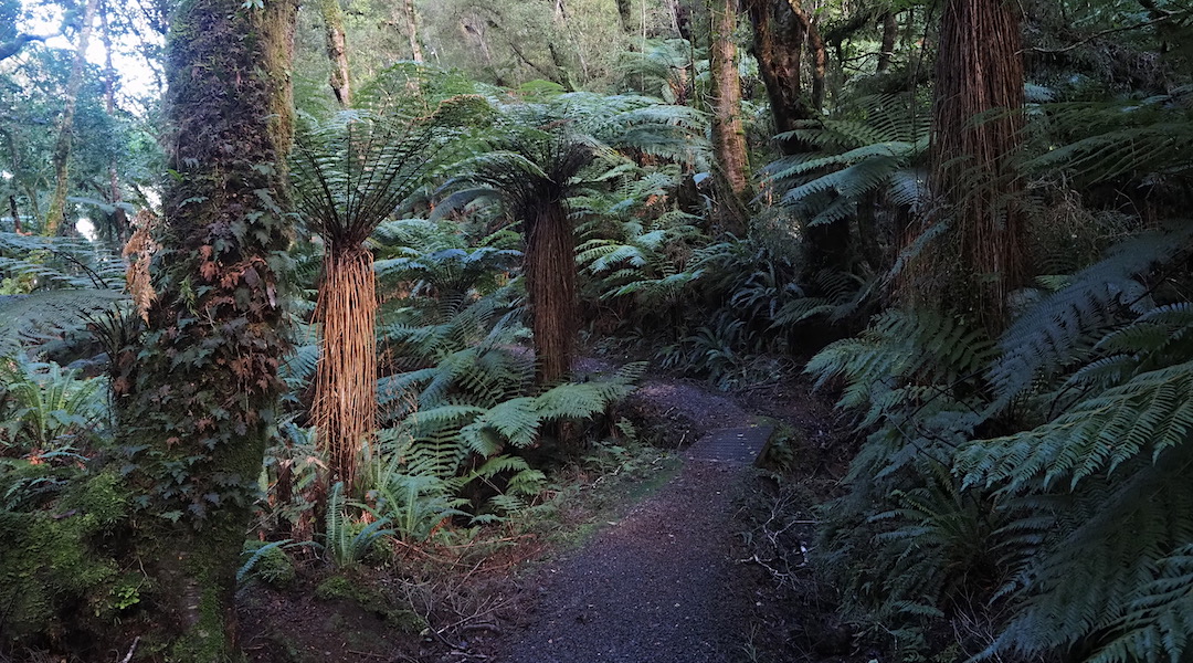 Day 12 Tuatapere, and civilisation tramping new zealand