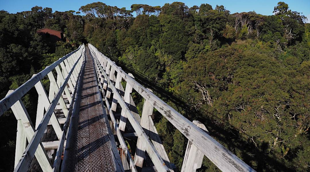 Percy Burn Viaduct and Hut.  | South Coast Track, Fiordland National Park