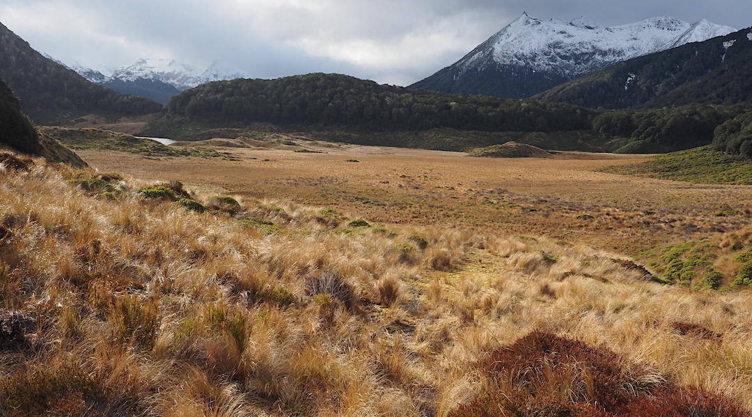 Tussock country near Borland Bivvy. | Lake Monowai, September 2021