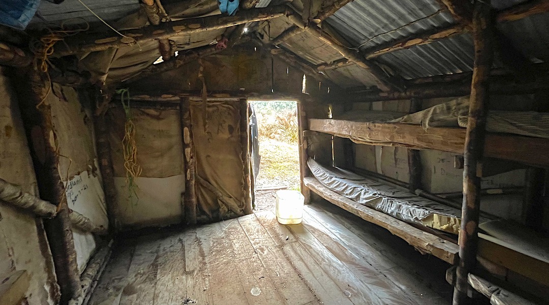The Southland beech hut framing. Clark Hut historic