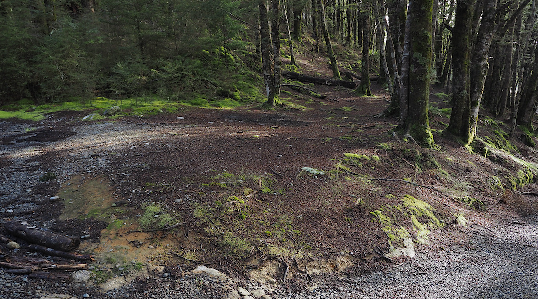 This ain't flat for tents either. | Monowai Camping area