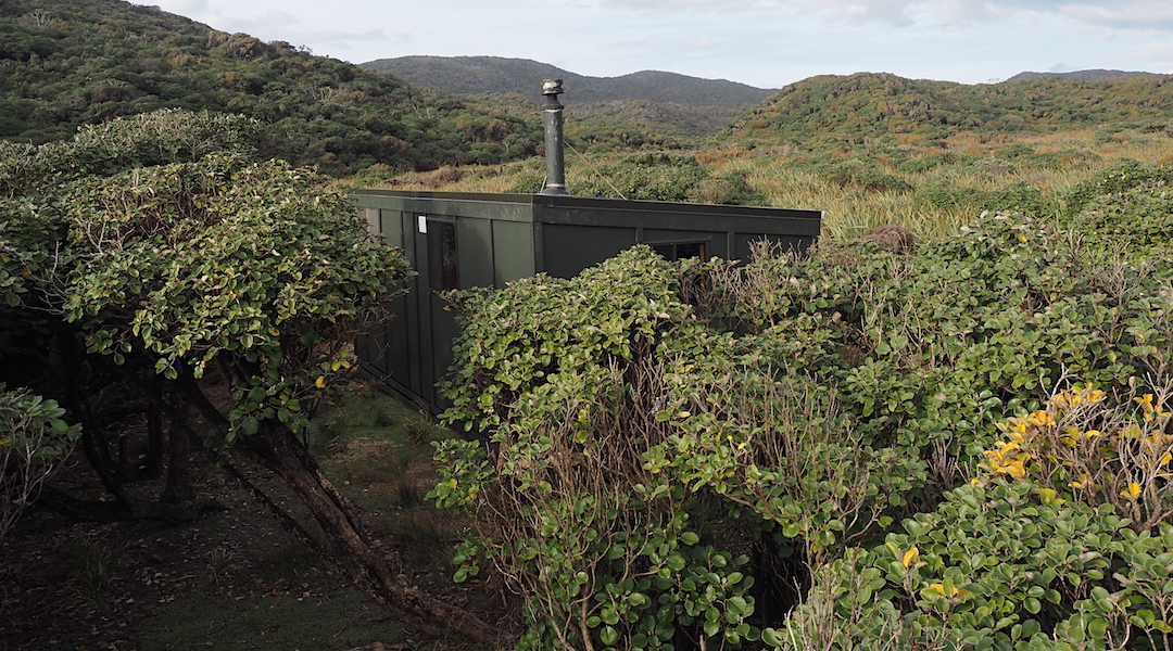 The hut is nestled in the shrubbery. | Little Hellfire Hunters Hut, Rakiura National Park