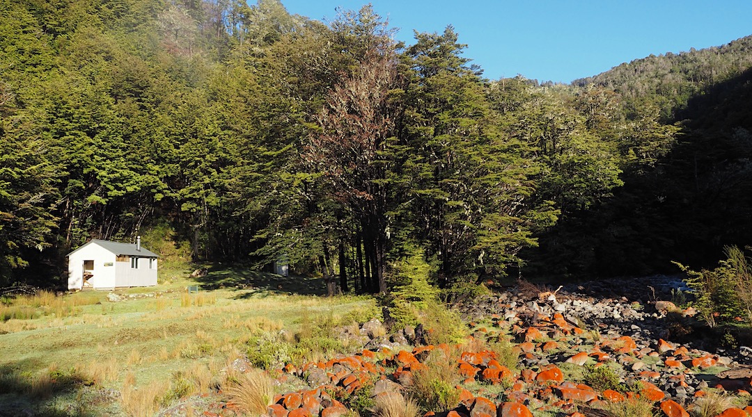 Water from the nearby river. | Hidden Hut, South Marlborough