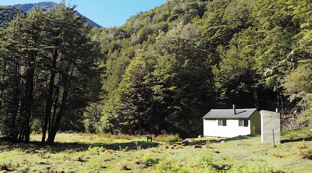 Set back in the clearing to make the most of the sun. | Hidden Hut, South Marlborough