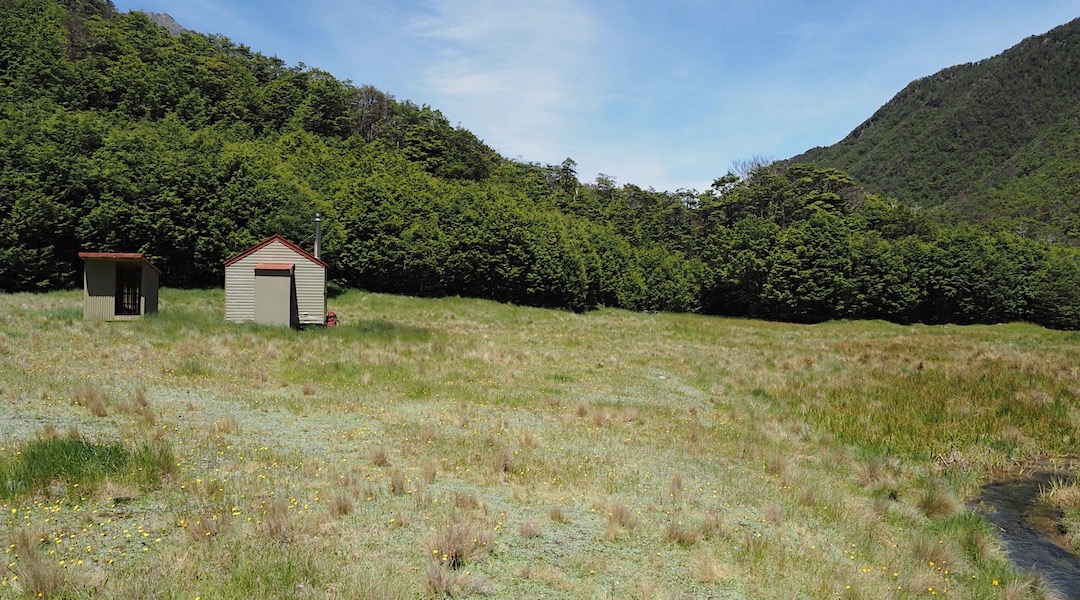 A small stream is not too far away.  |  Lees Creek Hut, Lees River, Marlborough