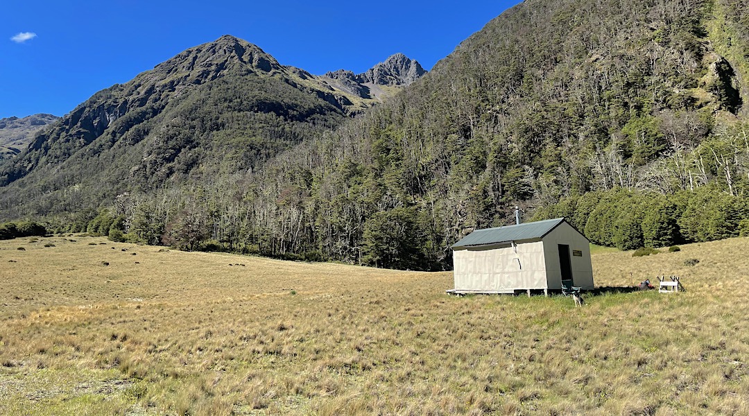 Plenty of nearby firewood. |  Top Misery Hut, Branch River, Marlborough