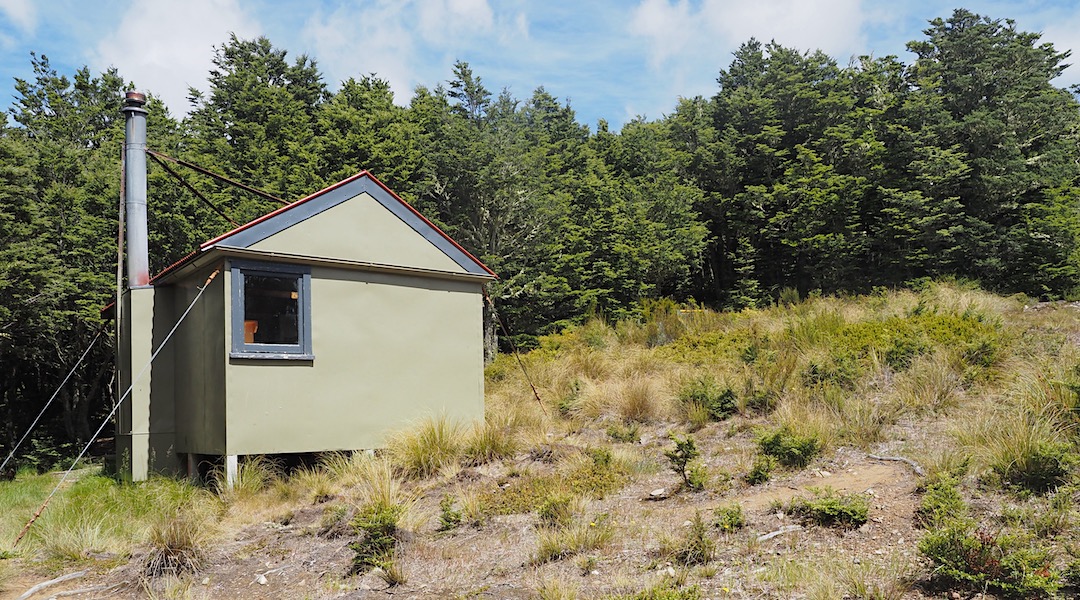 The hut is in a small clearing. | Black Hill Hut, Oxford Forest Conservation Area