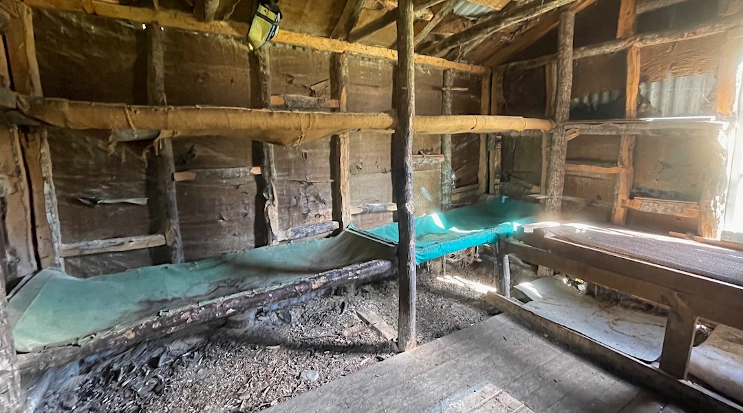 Built from local beech saplings in 1959. | Old Basins Hut, Craigieburn Forest Park