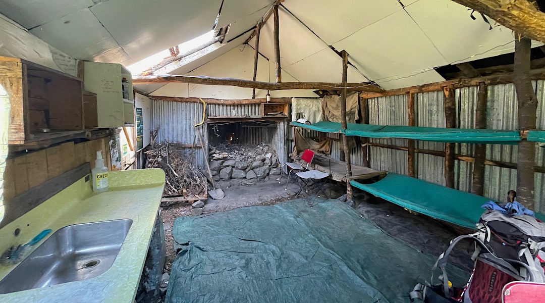 Fine bush material structure and canvas bunks. | Urquhart's Hut, Craigieburn Forest Park