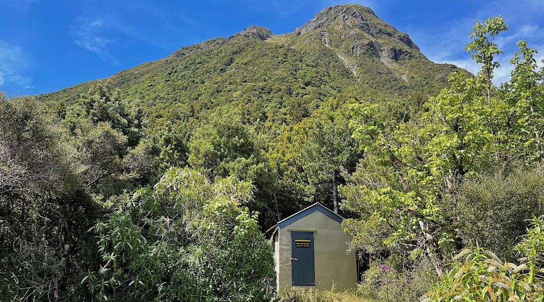 Pretty well shaded for much of the year. | Weka Burnet Bivvy, Craigieburn Forest Park