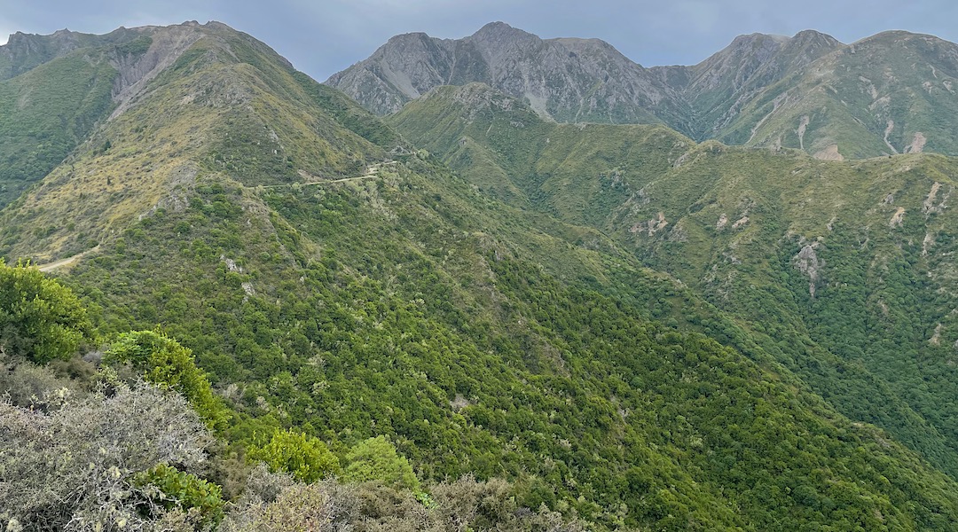 Blind Saddle and the route to Kohutara Bivvy. | South Marlborough, March 2022