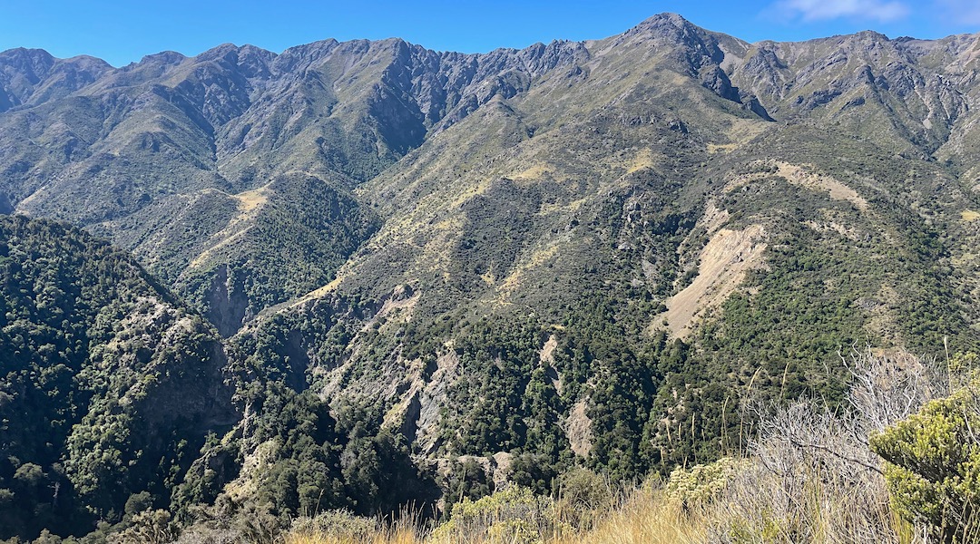 Kohutara River valley. | South Marlborough, March 2022