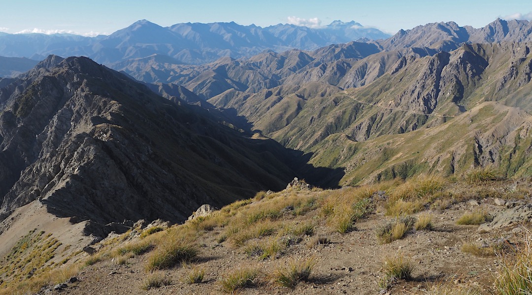Inland Kaikoura range in the distance. | South Marlborough, March 2022