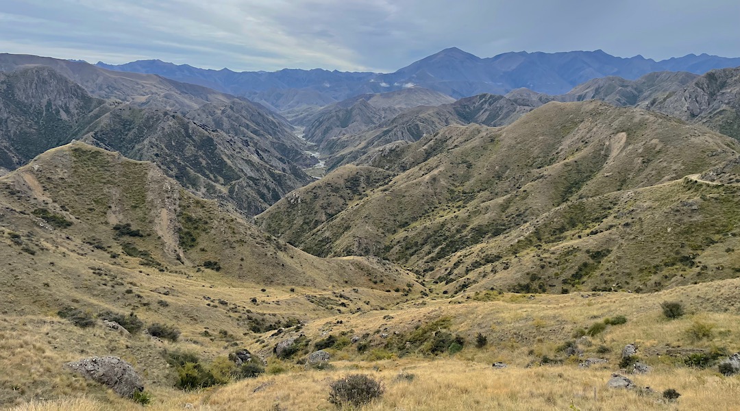 Looking down Seymour Stream towards the Clarence. | South Marlborough, March 2022