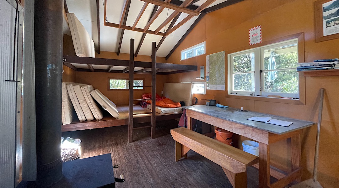 Table. | Flanagans Hut, Kahurangi National Park