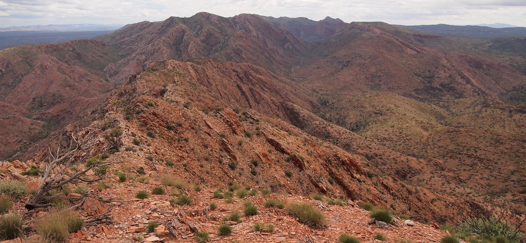 Razorback Ridge looking up Linear Valley to Rocky Saddle and the Hugh Gorge beyond