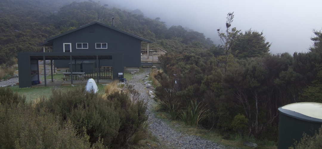 Perry Saddle camping area, Heaphy Track, Kahurangi National Park