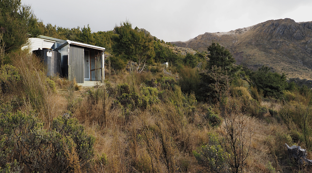 The hut is surrounded by manuka and not so easy to find. | Black Birch Bivvy, Ferny Gair Conservation Area