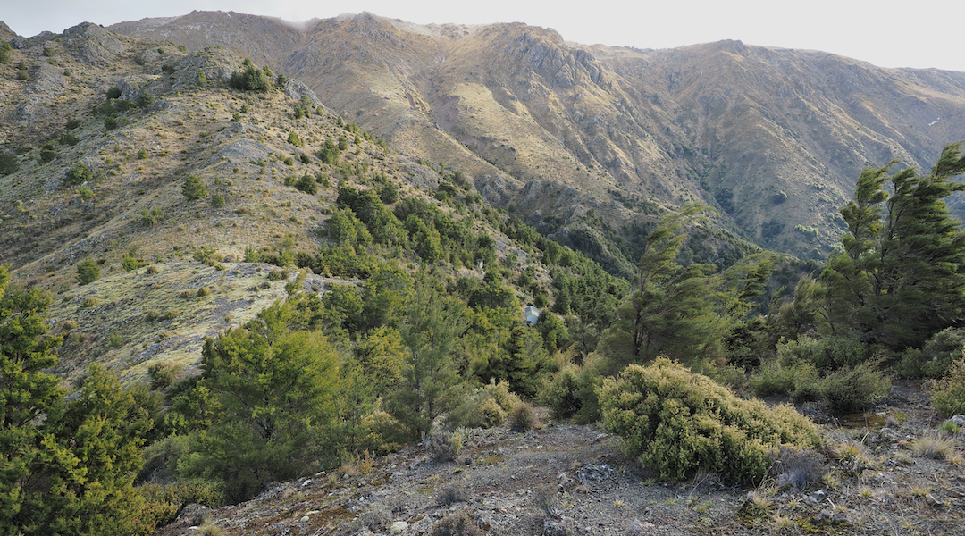 The hut is down there somewhere. | Black Birch Bivvy, Ferny Gair Conservation Area