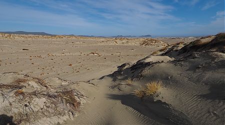 After 20 years the marram grass which held together the dunes has been killed off. | Mason Bay, Rakiura