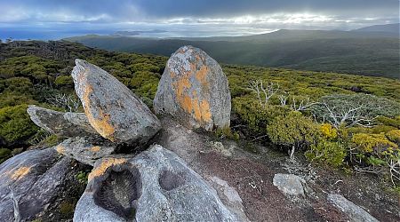 Granite outcrop on the top of Adams Hill, 400 m, with a view to Mason Bay. | Southern Circuit, Rakiura