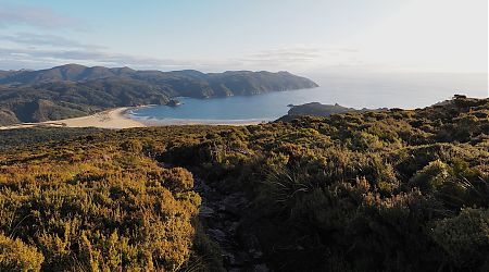 You might get a view of Doughboy Bay from Doughboy Hill at 411 m. | Rakeahua to Doughboy Hut, Southern Circuit, Rakiura
