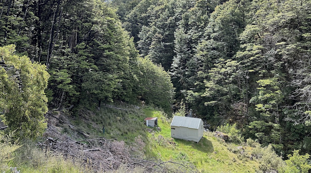 Mid Silverstream Hut is in the first decent clearing. | Mid Silverstream Hut, Leatham Conservation Area