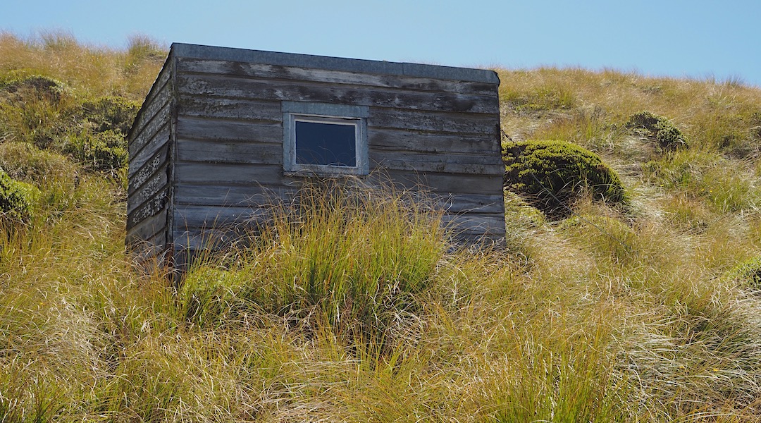 A timber shed. | Botany Hut, Rock and Pillar Scenic Reserve