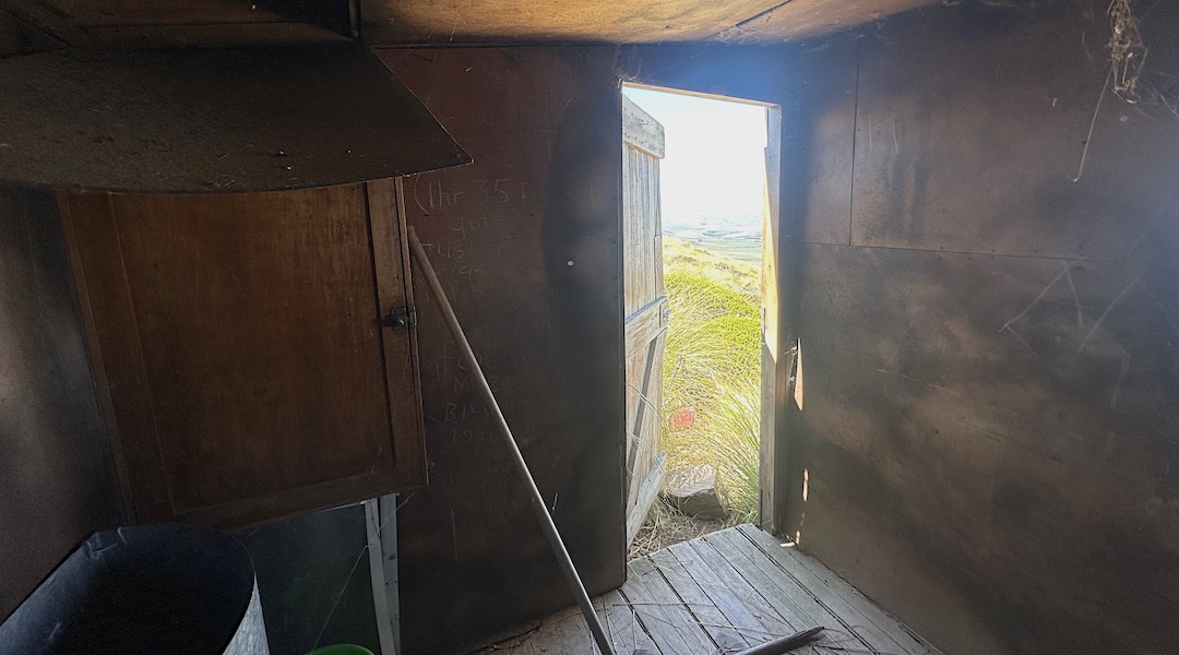 Let me out. | Botany Hut, Rock and Pillar Scenic Reserve
