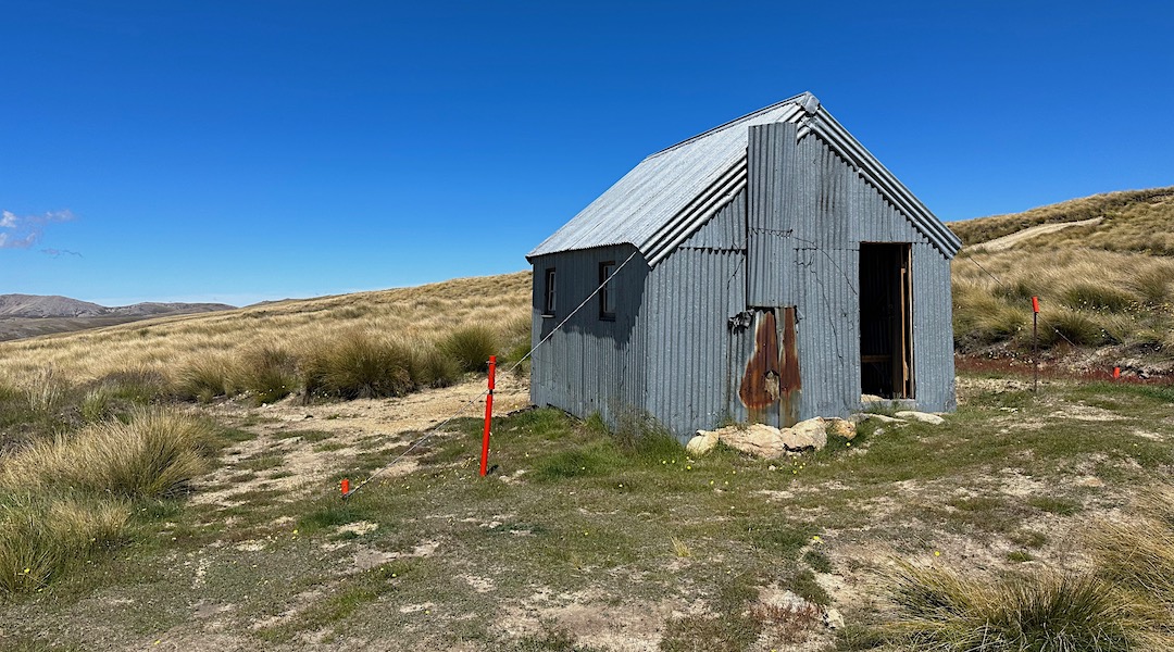 Just tussock around. | Wire Yards Hut, Oteake Conservation Park