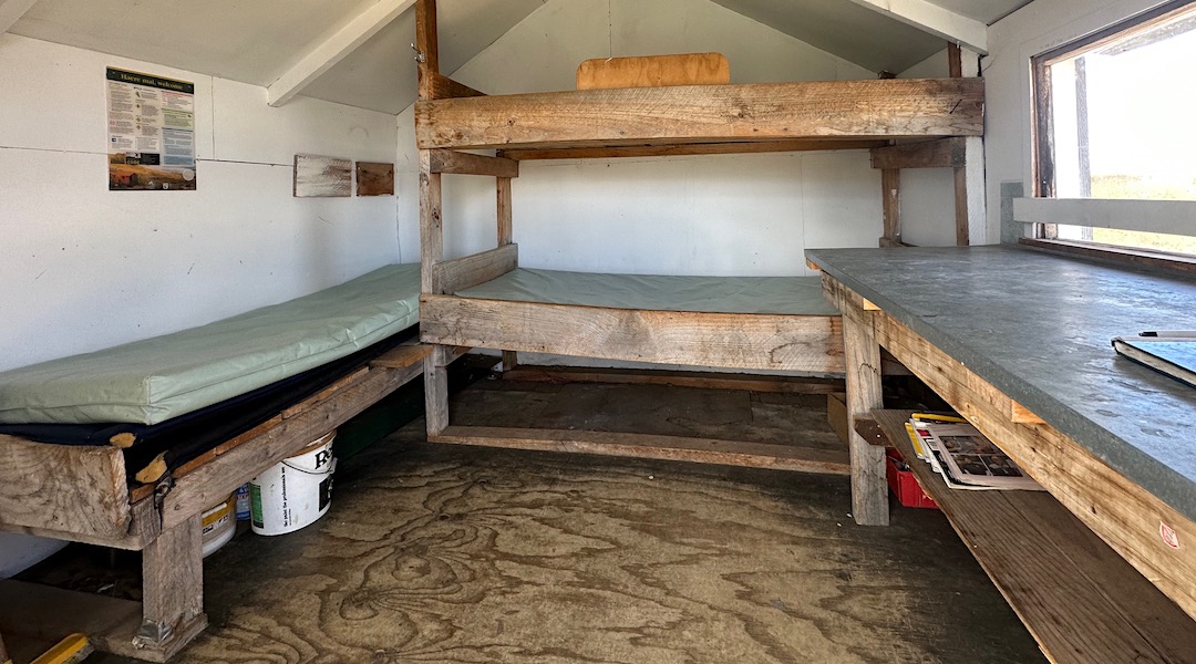 Bunks. | Heather Jock Hut, Whakaari Conservation Area