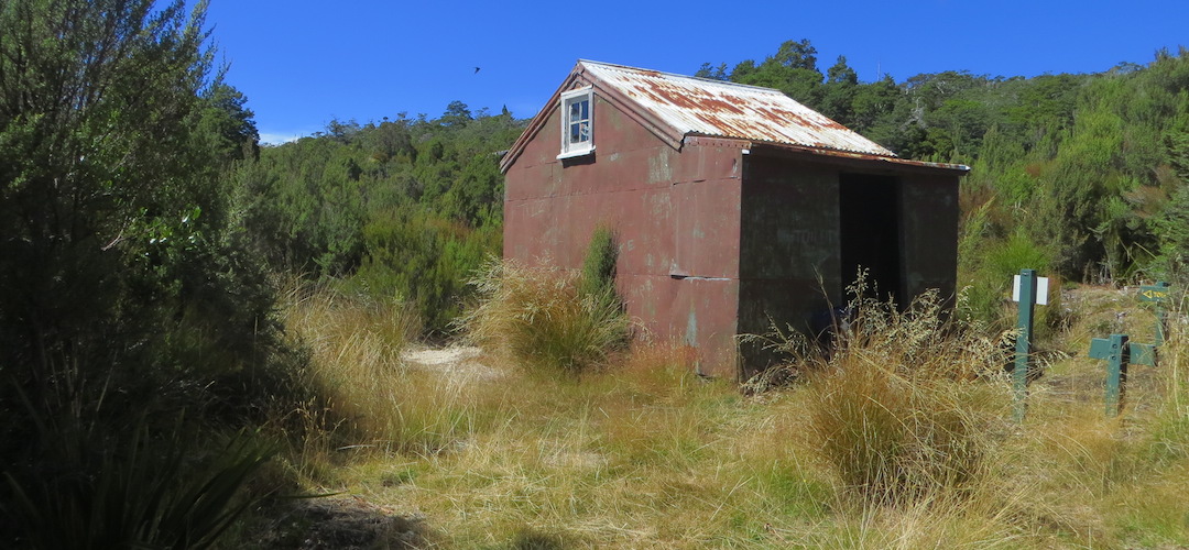 Moa Park Shelter, The Inland Track, Abel Tasman National Park