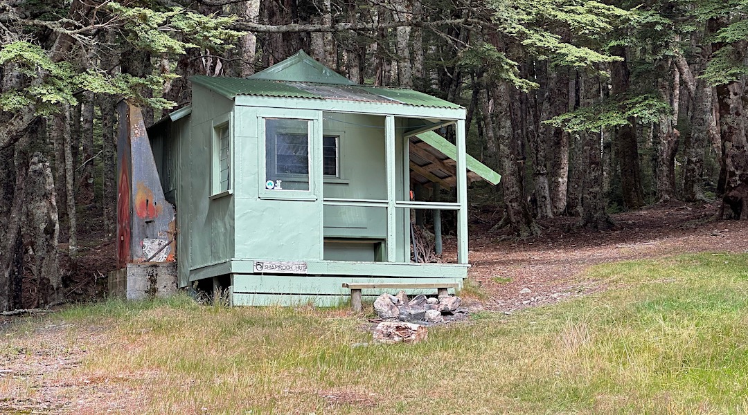Nestled under the forest. | Shamrock Hut, Ahuriri Conservation Park