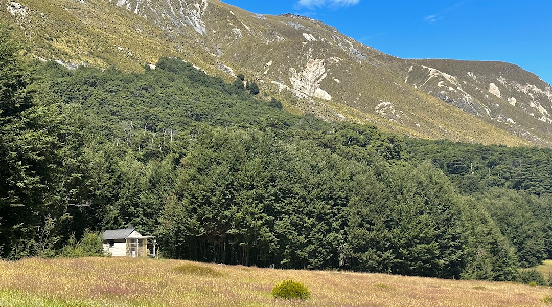 setting. | Top Dingle Burn Hut, Hawea Conservation Area