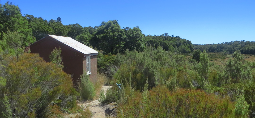 Moa Park Shelter, The Inland Track, Abel Tasman National Park