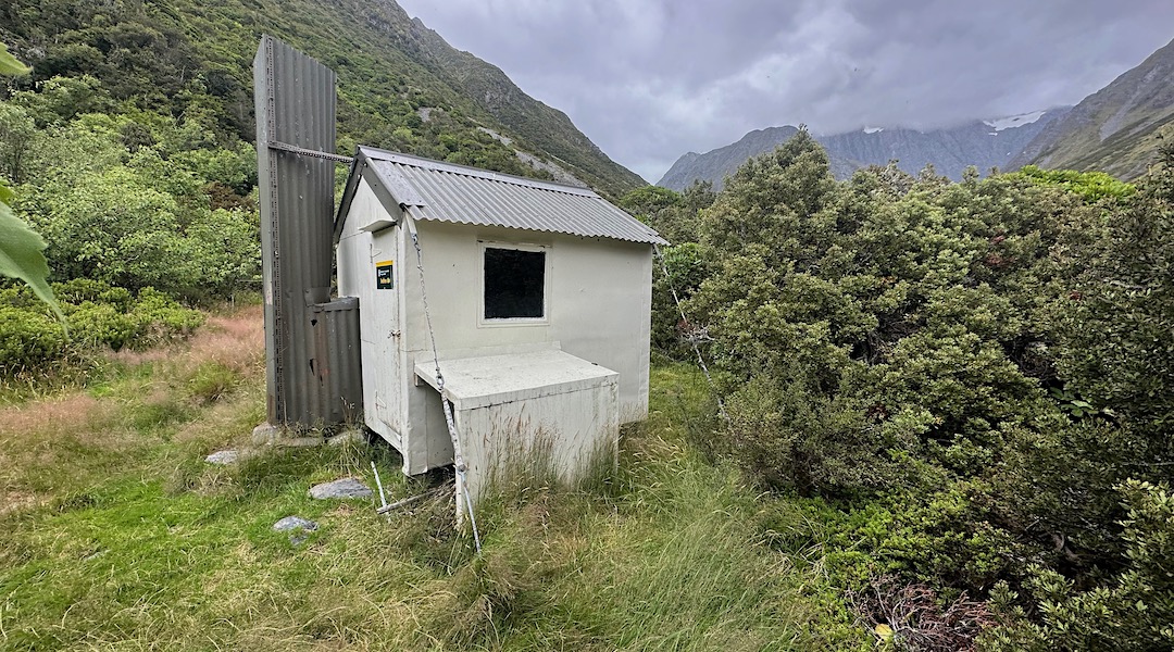 The bivvy is in a small clearing. | Forbes Bivvy, Te Kahui Kaupeka Conservation Park