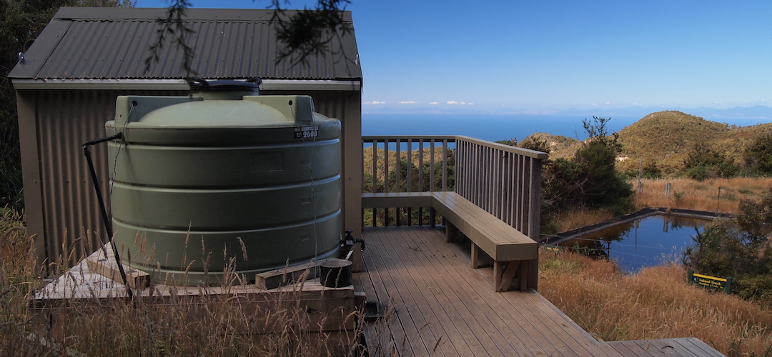 Holyoake Clearing Shelter, The Inland Track, Abel Tasman National Park