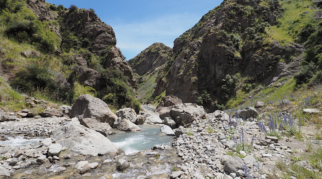 Limestone Stream boulders. |  Marlborough blog, December 2022