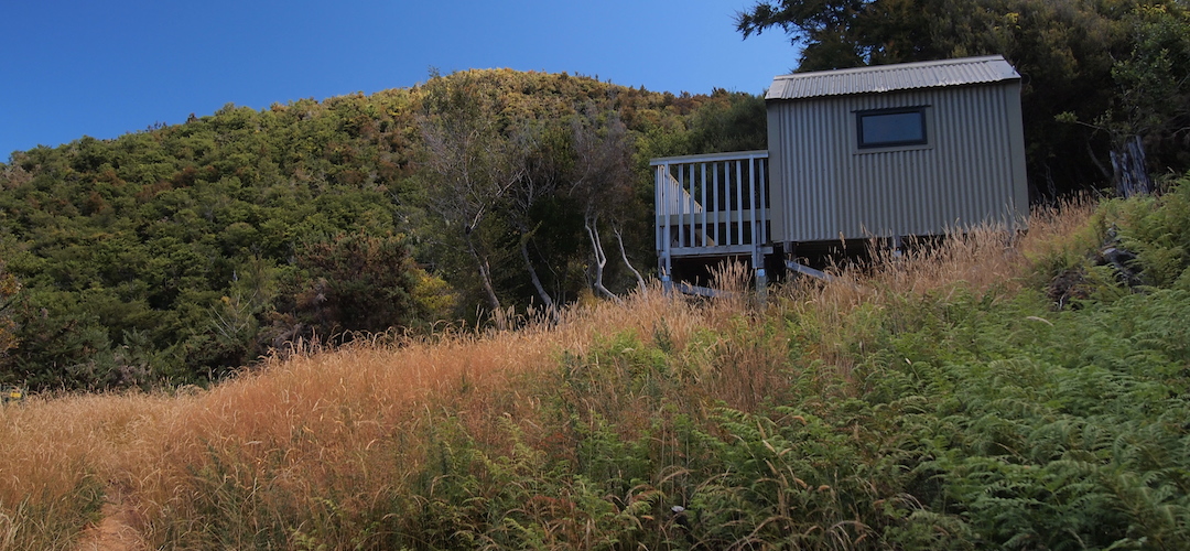 Holyoake Clearing Shelter, The Inland Track, Abel Tasman National Park
