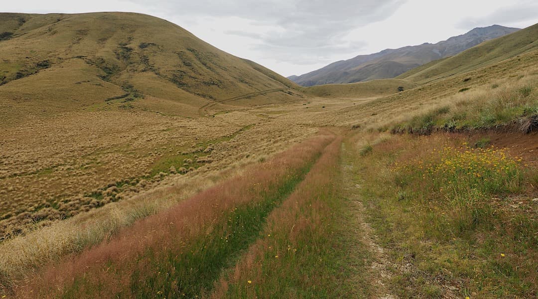 North Opuha Track near Spurs Hut. |   Te Kahui Kaupeka Conservation Park
